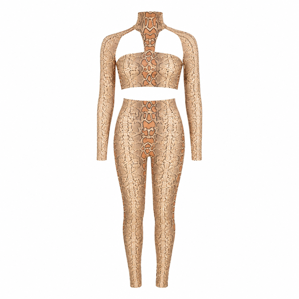 Isela Snake Print Set Damen – Crop-Top und High-Waist-Leggings Studioansicht